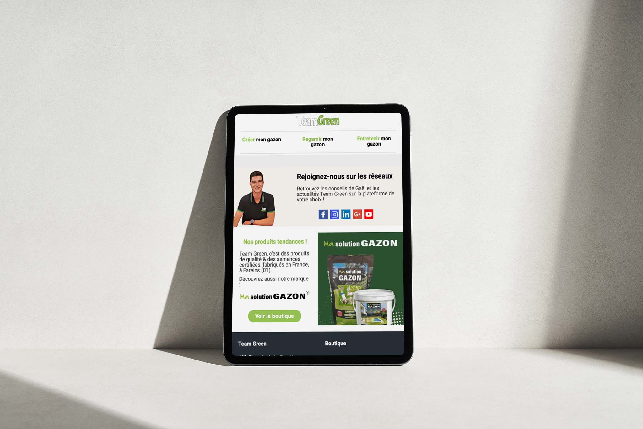 Maisonléon - emailing - Team Green - Fareins - Messimy sur Saône - Beauregard - Fournisseur de semences