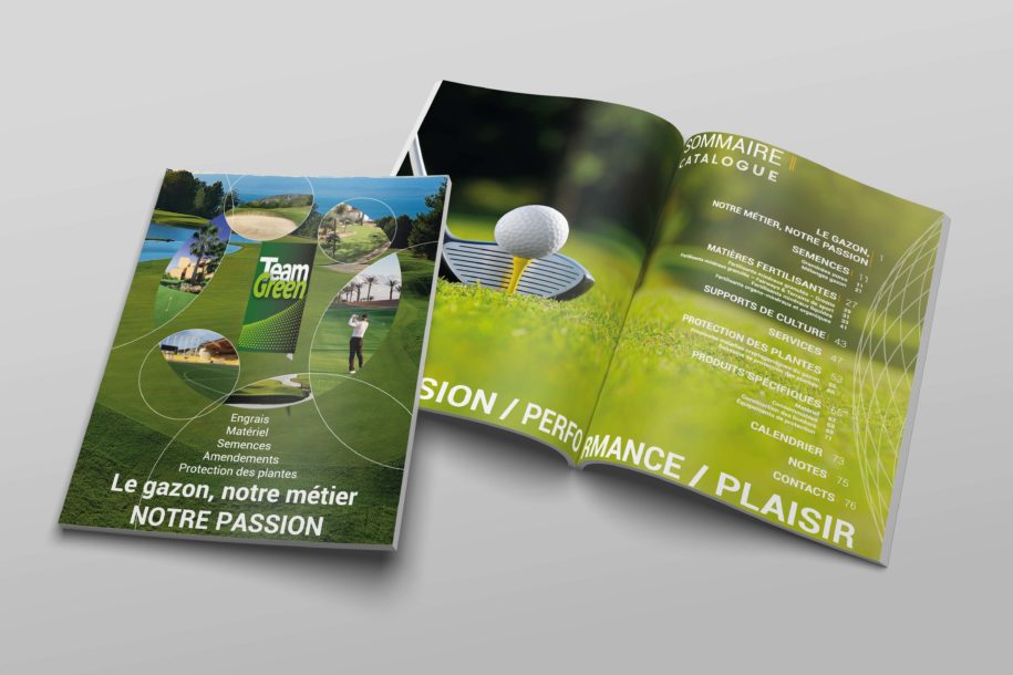 Maisonléon - print magazine - Team Green - Fareins - Messimy sur Saône - Beauregard - Fournisseur de semences