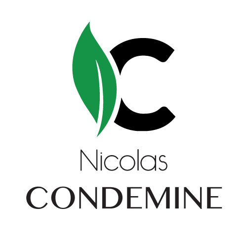 nicolas-condemine