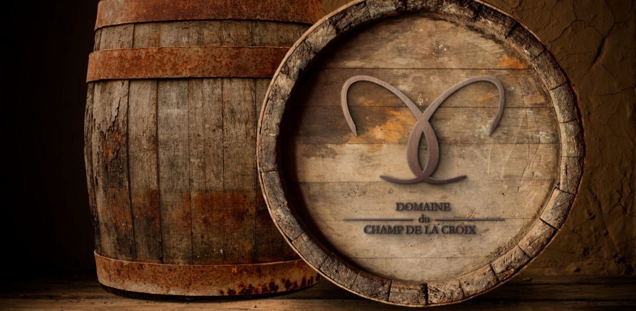 domaineduchampdelacroix-maisonleon-logo-denicé-vigneron