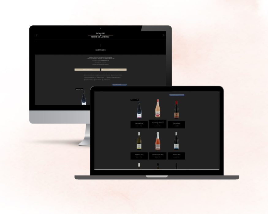 maisonléon-domaineduchampdelacroix-Creation boutique de vente en ligne avec gestion de règlement panier-denicé-villefranchesursaone-vigneron
