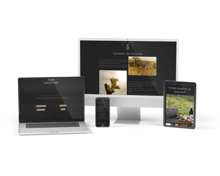 maisonléon-domaineduchampdelacroix-web-denicé-villefranchesursaone-vigneron