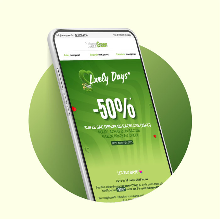 Mockup - Team Green - Mailing - Réalisation - Maison Léon